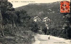 G 002- Planteurs